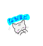 しま猫しーま（個別スタンプ：21）