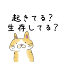 いいことあったからとりあえず踊っとく？（個別スタンプ：40）