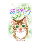 ねこ全開・BIG（個別スタンプ：1）