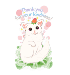 ねこ全開・BIG（個別スタンプ：2）