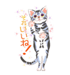 ねこ全開・BIG（個別スタンプ：5）
