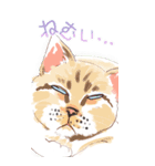 ねこ全開・BIG（個別スタンプ：6）