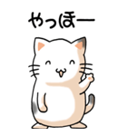 猫大好き！（大）その11（個別スタンプ：2）