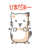 猫大好き！（大）その11（個別スタンプ：5）