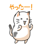 猫大好き！（大）その11（個別スタンプ：20）