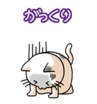 猫大好き！（大）その11（個別スタンプ：21）