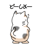 猫大好き！（大）その11（個別スタンプ：31）