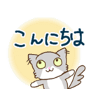 猫だよキルちゃん☆あいさつ編（個別スタンプ：3）