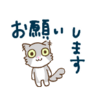 猫だよキルちゃん☆あいさつ編（個別スタンプ：13）