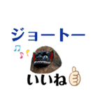 シーサー 沖縄方言【第二弾】（個別スタンプ：39）