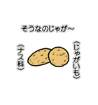 野菜ですが何科？③（個別スタンプ：10）