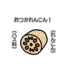 野菜ですが何科？③（個別スタンプ：11）