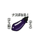 野菜ですが何科？③（個別スタンプ：13）