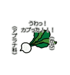 野菜ですが何科？③（個別スタンプ：15）