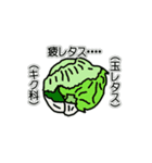 野菜ですが何科？③（個別スタンプ：16）