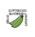 野菜ですが何科？③（個別スタンプ：17）