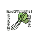 野菜ですが何科？③（個別スタンプ：18）
