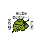 野菜ですが何科？③（個別スタンプ：19）