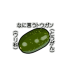 野菜ですが何科？③（個別スタンプ：23）