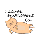 猫と会話できるスタンプ（個別スタンプ：24）