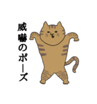 猫と会話できるスタンプ（個別スタンプ：35）
