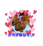 我が家のダックス君（個別スタンプ：5）