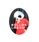 毎日使えるensemble a cappamda アカパンダ（個別スタンプ：10）