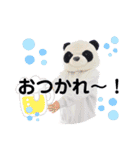 毎日使えるensemble a cappamda アカパンダ（個別スタンプ：11）