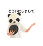 毎日使えるensemble a cappamda アカパンダ（個別スタンプ：14）