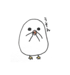 アルビノインコのあるちゃん（個別スタンプ：8）