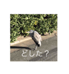 ちゃんやまずスタンピー（個別スタンプ：24）
