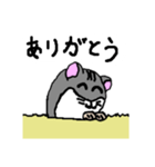 手書きハムスケスタンプ（個別スタンプ：8）