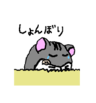 手書きハムスケスタンプ（個別スタンプ：9）