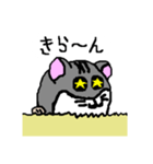 手書きハムスケスタンプ（個別スタンプ：11）