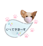 ほのぼのクーピー3（個別スタンプ：2）