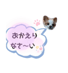 ほのぼのクーピー3（個別スタンプ：5）