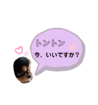 ほのぼのクーピー3（個別スタンプ：7）