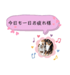 ほのぼのクーピー3（個別スタンプ：10）