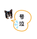 ほのぼのクーピー3（個別スタンプ：13）