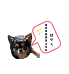 ほのぼのクーピー3（個別スタンプ：14）