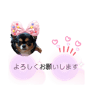 ほのぼのクーピー3（個別スタンプ：15）