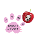 ほのぼのクーピー3（個別スタンプ：16）