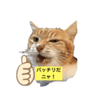 おはなでーす ver2（個別スタンプ：1）
