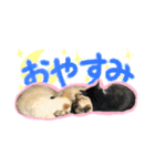 だいふく・みるく・むく（個別スタンプ：2）