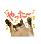 だいふく・みるく・むく（個別スタンプ：7）