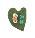 ポメラニアン わさびチャン（個別スタンプ：4）