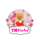 ポメラニアン わさびチャン（個別スタンプ：6）