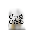 撮り鉄誤字＆名言スタンプ4（個別スタンプ：12）