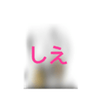 撮り鉄誤字＆名言スタンプ4（個別スタンプ：15）