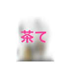 撮り鉄誤字＆名言スタンプ4（個別スタンプ：18）